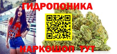 гашик Пенза