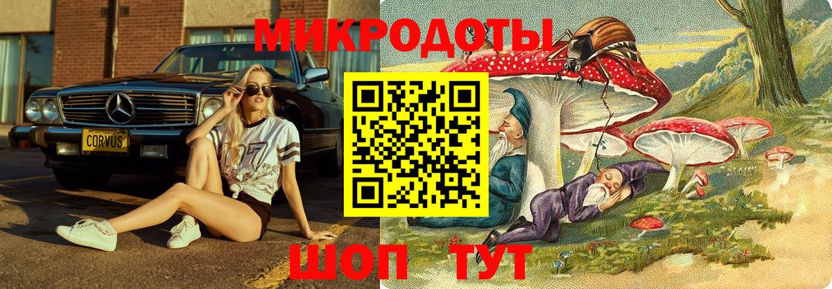 Псилоцибиновые грибы мицелий  Вход с VPN  Чита 
