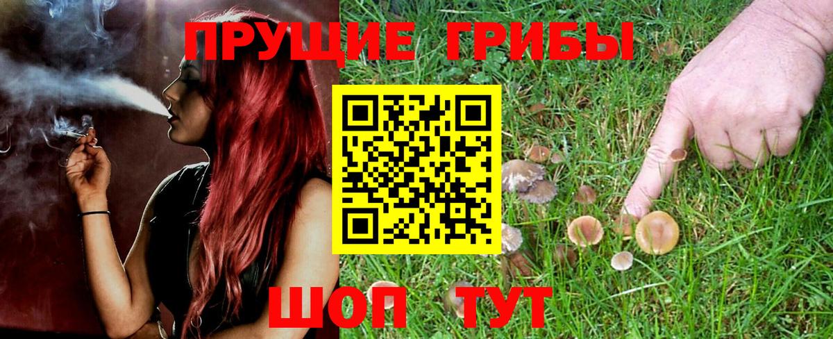 Псилоцибиновые грибы MAGIC MUSHROOMS Чита